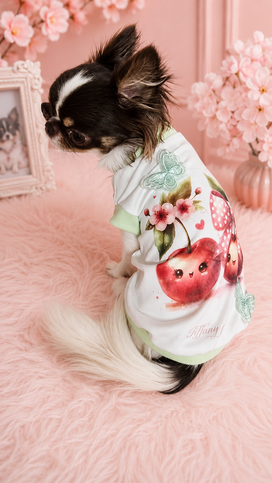 Come Vestire un Chihuahua: Guida Completa per Comfort, Eleganza e Sicurezza