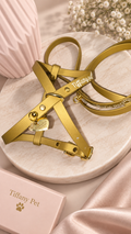 Pettorina e Guinzaglio Gold Glitter in BioThane® – Tiffany Pet
